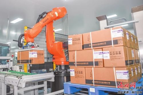 海口数字产业加速跑 数字基建 游戏出海 智能工厂领衔