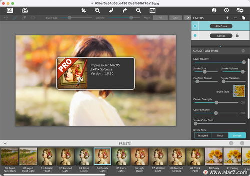 jixipix artista impresso pro 油画效果滤镜插件